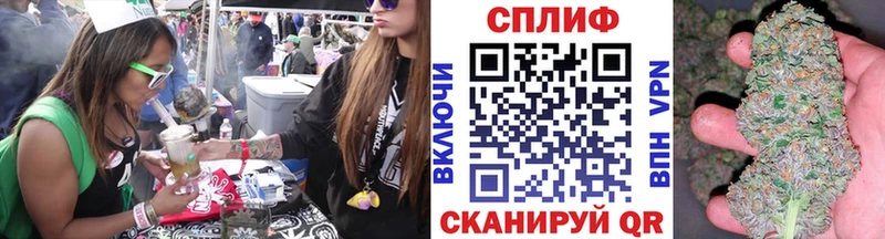 Бошки Шишки марихуана  Купить закладки  Кудрово 